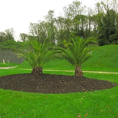 Bed & Breakfast Les Victoriennes Verdun-sur-Meuse